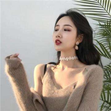 我是驸马爷破解版下载