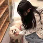 幻魔仙纪手游下载
